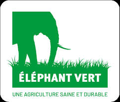 elephant-vert